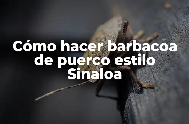 Cómo Hacer Barbacoa de Puerco Estilo Sinaloa