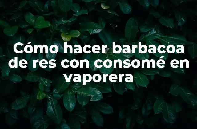 Cómo hacer barbacoa de res con consomé en vaporera