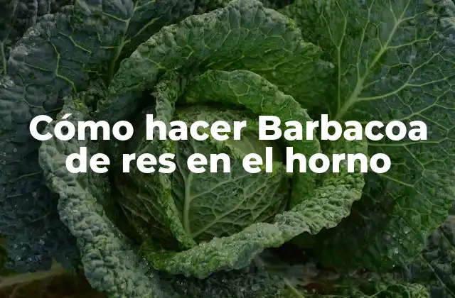 Cómo Hacer Barbacoa de Res en el Horno