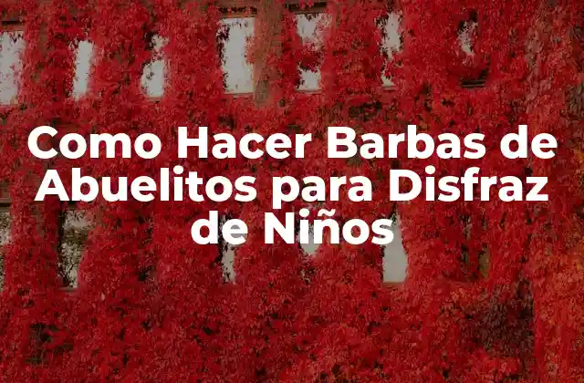 Como Hacer Barbas de Abuelitos para Disfraz de Niños