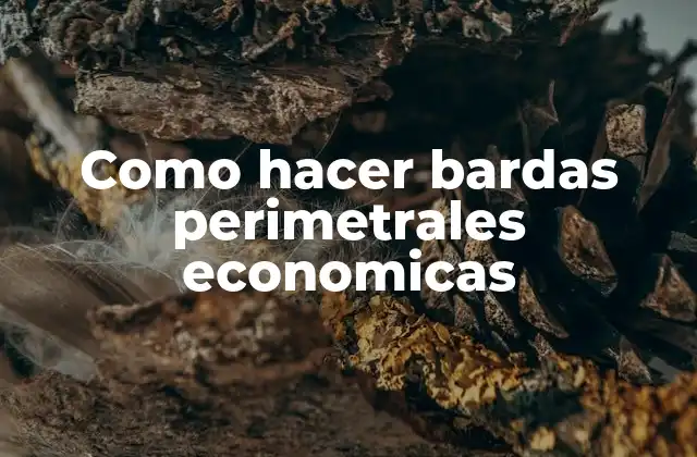 Como Hacer Bardas Perimetrales Economicas