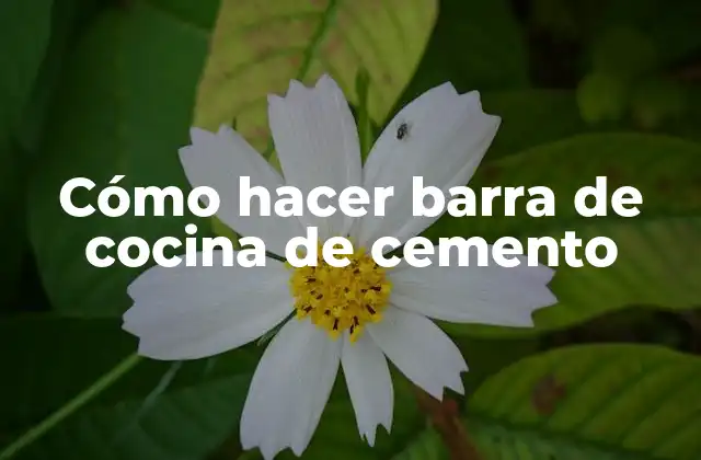 Cómo Hacer Barra de Cocina de Cemento