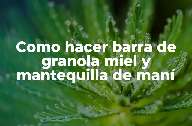 Como Hacer Barra de Granola Miel y Mantequilla de Maní