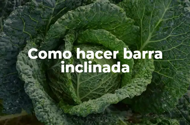 Como Hacer Barra Inclinada