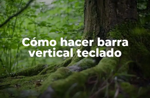 Cómo Hacer Barra Vertical Teclado