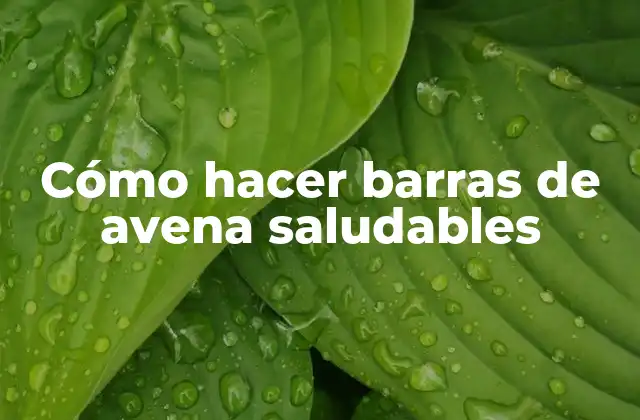 Cómo Hacer Barras de Avena Saludables