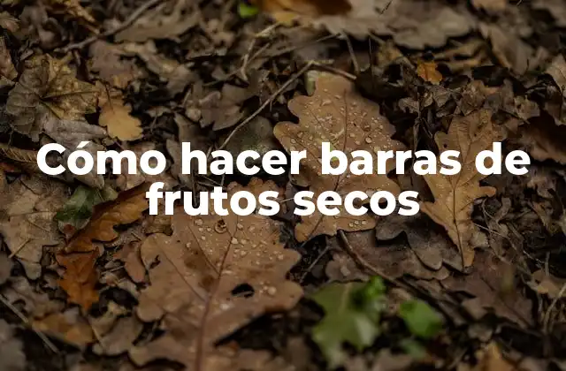 Cómo Hacer Barras de Frutos Secos