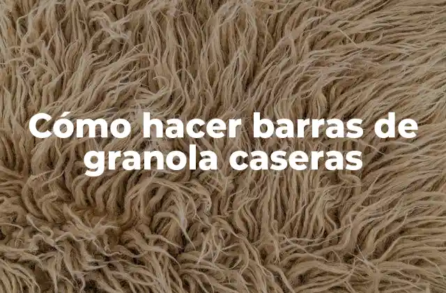 Cómo Hacer Barras de Granola Caseras