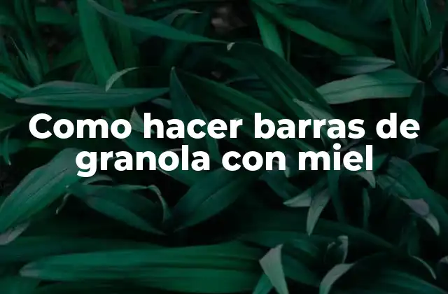 Como Hacer Barras de Granola con Miel