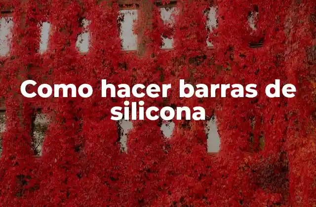 Como Hacer Barras de Silicona