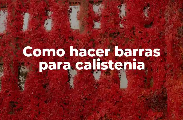 Como Hacer Barras para Calistenia