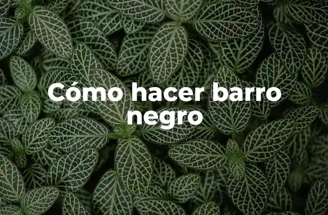 ¿Qué es el barro negro y para qué se utiliza?