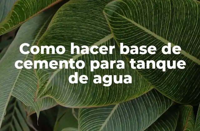 Como Hacer Base de Cemento para Tanque de Agua