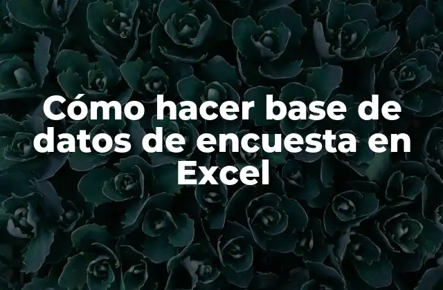 Cómo Hacer Base de Datos de Encuesta en Excel