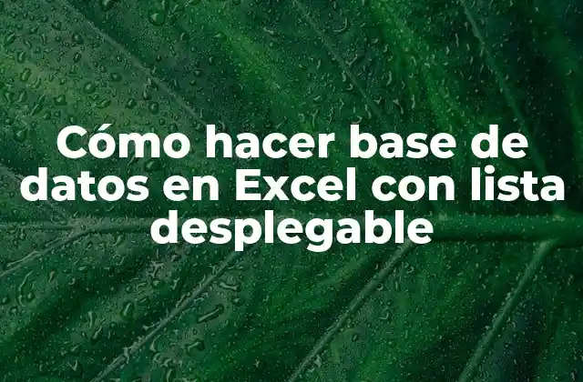 Cómo Hacer Base de Datos en Excel con Lista Desplegable