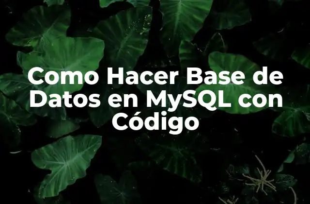 Como Hacer Base de Datos en Mysql con Código