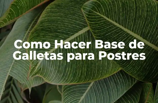 Como Hacer Base de Galletas para Postres