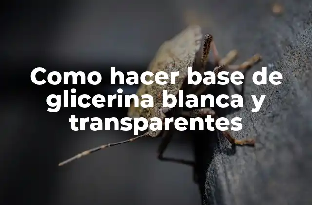 Como Hacer Base de Glicerina Blanca y Transparentes