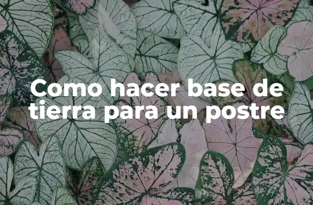 Como Hacer Base de Tierra para un Postre