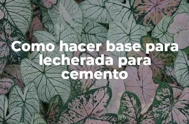 Como Hacer Base para Lecherada para Cemento