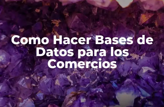 Como Hacer Bases de Datos para los Comercios