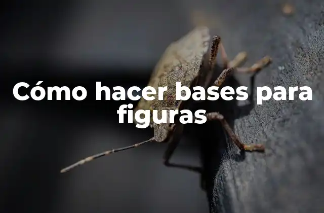 Cómo Hacer Bases para Figuras 2 Cómo hacer bases para figuras