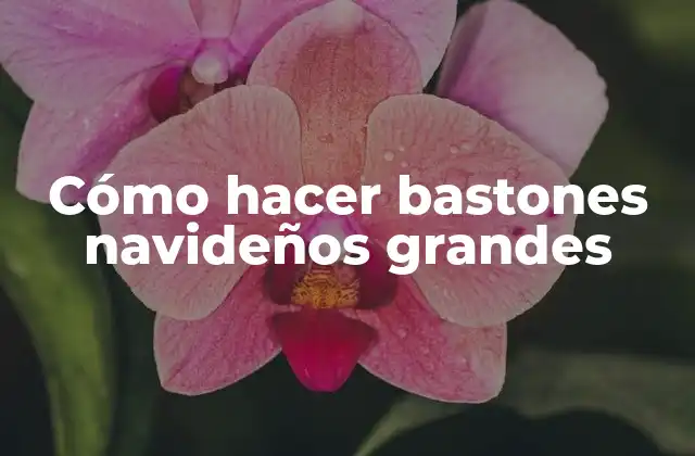 Cómo Hacer Bastones Navideños Grandes