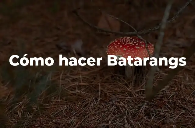 ¿Qué son los Batarangs?