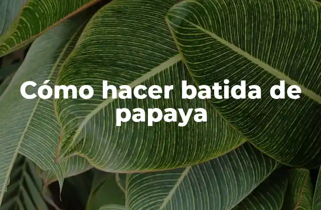 Cómo Hacer Batida de Papaya