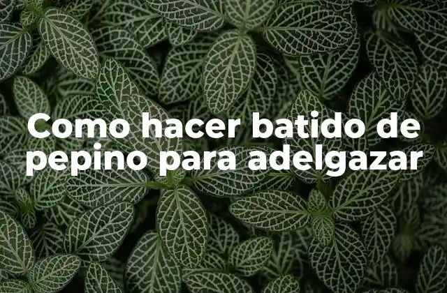 Como Hacer Batido de Pepino para Adelgazar