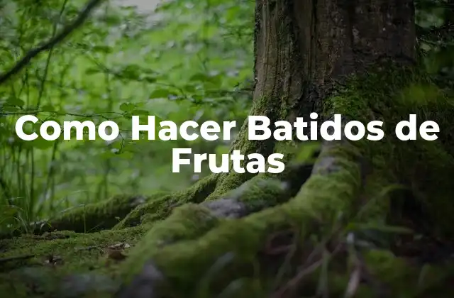 Como Hacer Batidos de Frutas 2 ¿Qué son los Batidos de Frutas y para Qué Sirven?