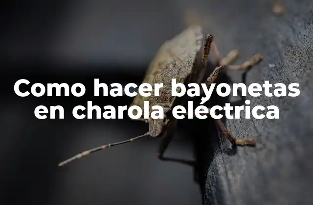 Como Hacer Bayonetas en Charola Eléctrica