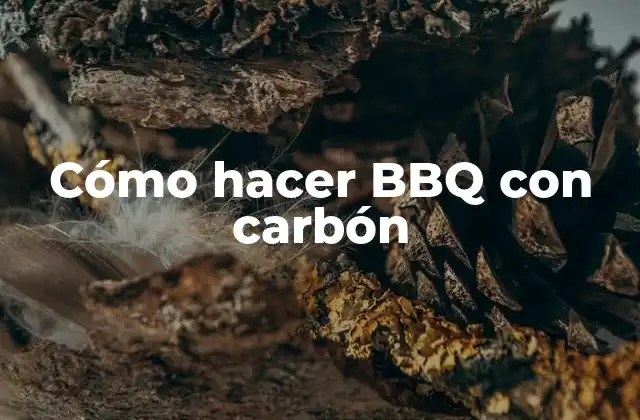 Cómo Hacer Bbq con Carbón