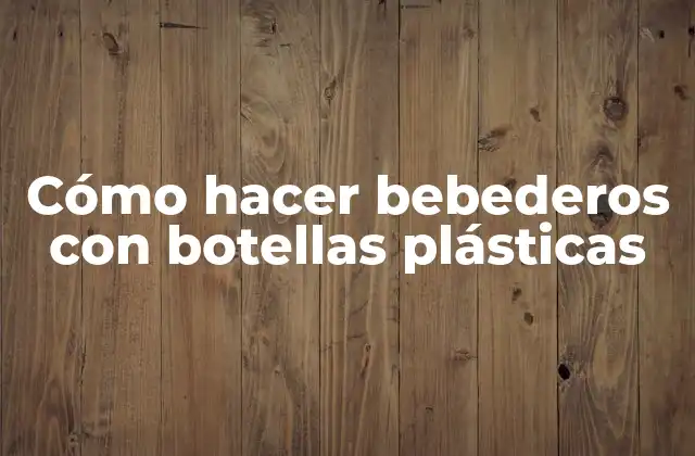 Cómo Hacer Bebederos con Botellas Plásticas