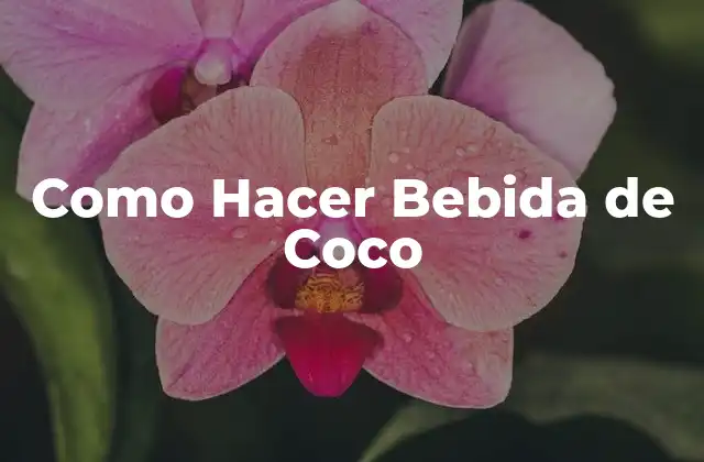 Como Hacer Bebida de Coco