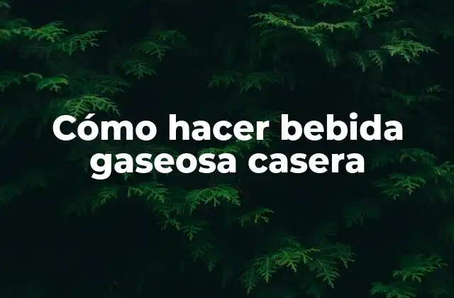 Cómo hacer bebida gaseosa casera