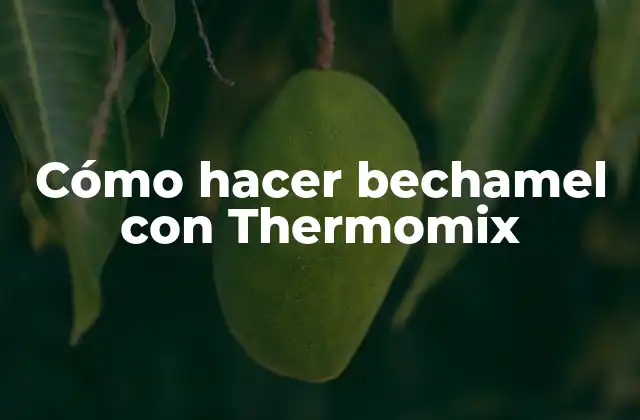 Cómo Hacer Bechamel con Thermomix