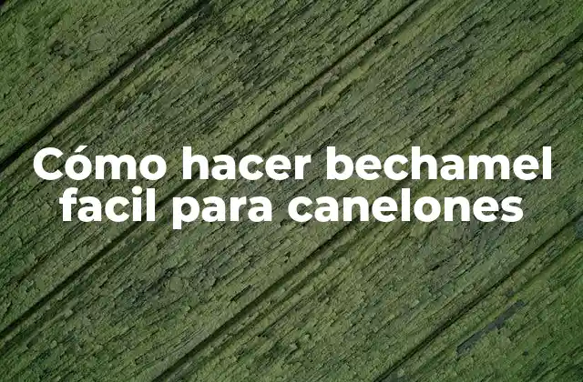 Cómo Hacer Bechamel Facil para Canelones