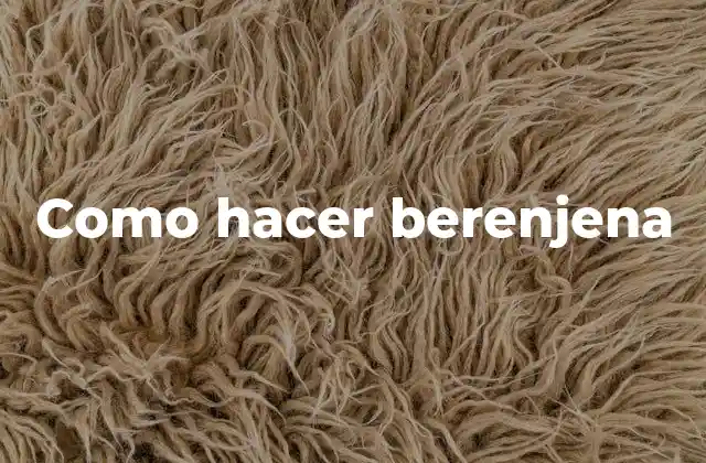 Como Hacer Berenjena 10 ¿Qué es una berenjena y para qué sirve?