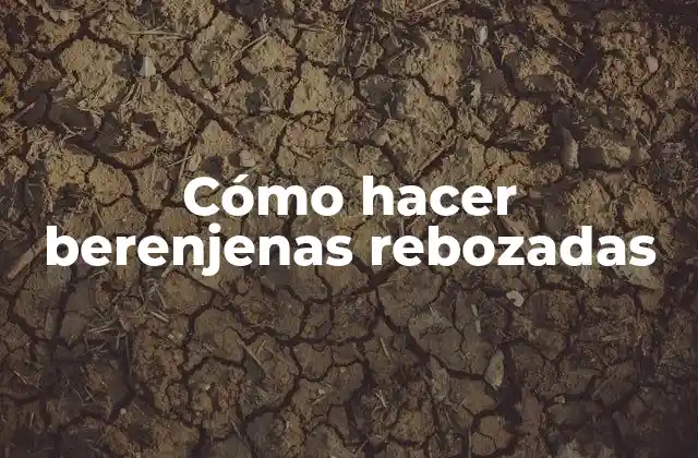 Cómo Hacer Berenjenas Rebozadas