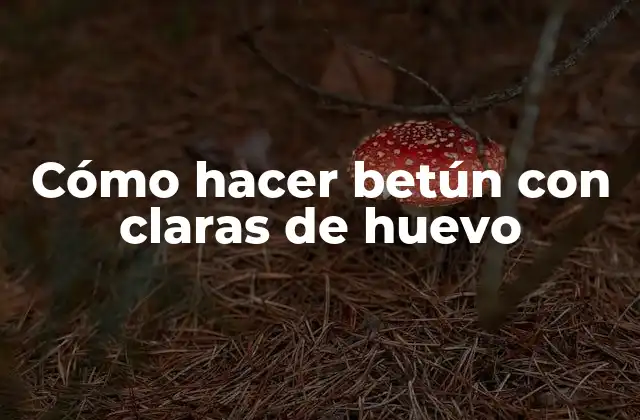 Cómo Hacer Betún con Claras de Huevo