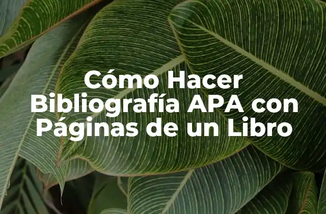 Cómo Hacer Bibliografía Apa con Páginas de un Libro