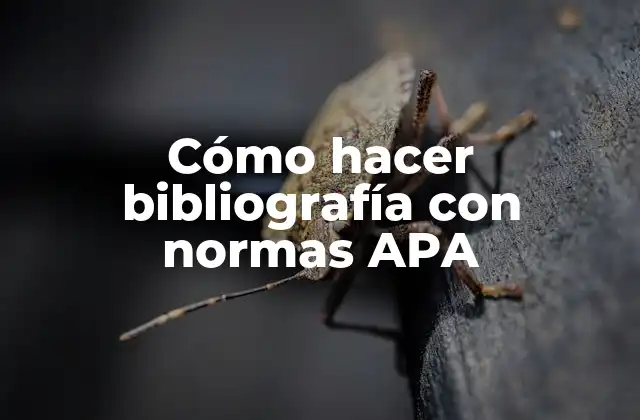 Cómo Hacer Bibliografía con Normas Apa
