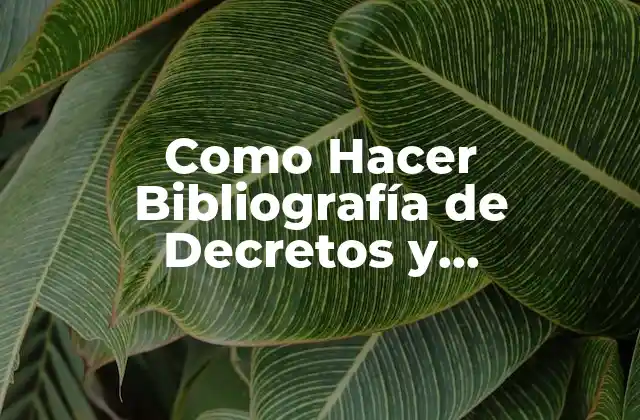 Como Hacer Bibliografía de Decretos y Resoluciones Apa
