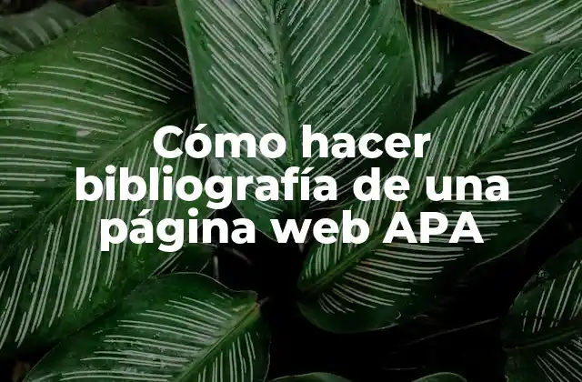 Cómo Hacer Bibliografía de una Página Web Apa
