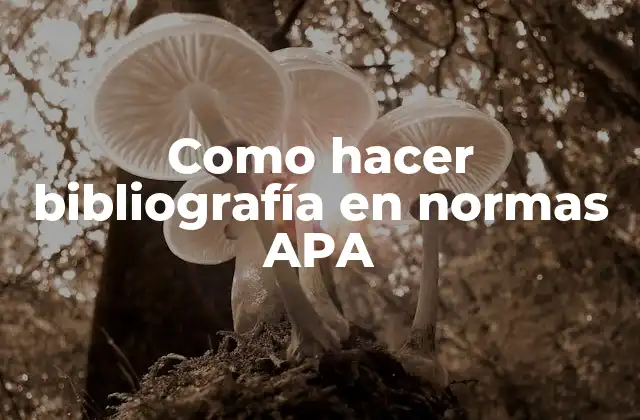 Como Hacer Bibliografía en Normas Apa