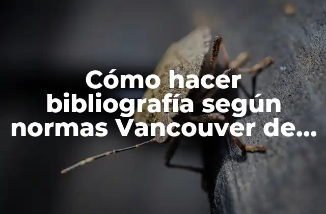 Cómo Hacer Bibliografía según Normas Vancouver de Sitios Web