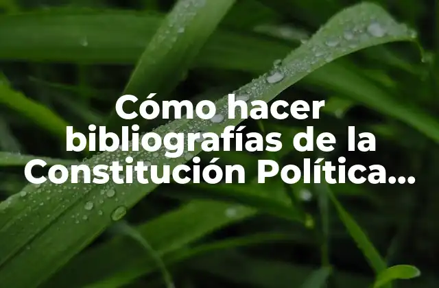 Cómo Hacer Bibliografías de la Constitución Política de Guatemala