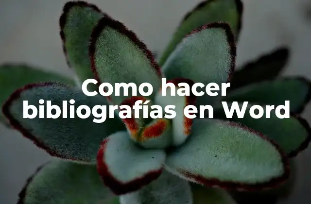 Como Hacer Bibliografías en Word