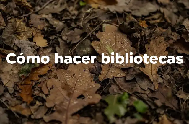 Cómo Hacer Bibliotecas